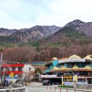 스테이포레스트 이미지