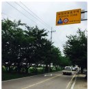 옥종초등학교 이미지