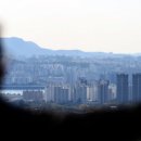 11월12일 이병철의 뉴스클리핑 이미지