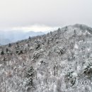 첫눈에평창 이미지