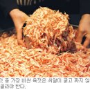 맛있는 젓갈 고르는 법 이미지