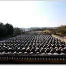 덕양농원 이미지