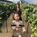 다희농장 이미지