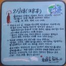 오신채(五辛菜)란? -다섯가지 매운 채소 이미지