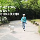 에이치지플랫폼