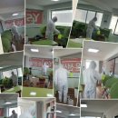 윤선생영어교실 이미지