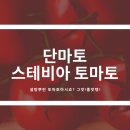 신세계축산직판장 | 단마토, 스테비아 토마토 저렴하게 사기! '이것은 설탕인가 토마토인가'