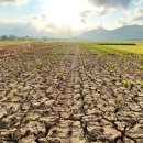 CW-2112-01 이미지