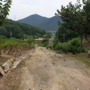 창기농장 이미지