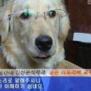 행복회수산 이미지