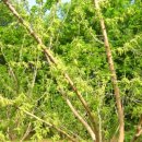 광일농장 이미지