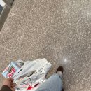 모찌네식탁 | 20260305-20260408