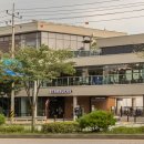 고양대로 네이버블로그
