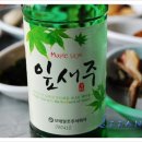 녹동횟집 - 남구 백운로 45-1 | 녹동횟집