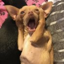 모태안여성병원 | 청주 모태안여성병원 산부인과 자궁폴립 제거 자궁경 후기 / 비용