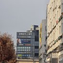 웰스킨 이미지
