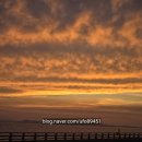 보스밥버거 - 남구 월평로 101 | 대한항공 밴쿠버 행 B787-10 이코노미 눕코노미 후기 & 밴쿠버공항에서 웨스트젯 타고 캘거리 환승