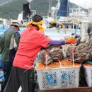 서망항2 이미지