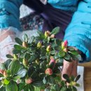 구이노인복지센터 이미지