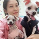 웨그앤코 이미지