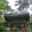 예당문화교육원 | 창녕 동서문학캠프 우포를 가다