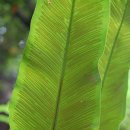 삼도제주 이미지