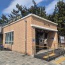 바다와 솔향기 | 아이랑 강릉 바다캠핑<연곡해변 솔향기캠핑장>🌲/DOD 가마보코3S