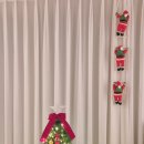 그린홈마트 | 소소한 일상 (25년 12월 3주 나이키수령, 포식이, 거제도여행)