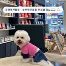 모노도그