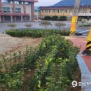 동이면행정복지센터 이미지