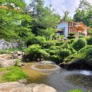 고둔치 솔가 이미지