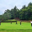 포라이즌 이미지