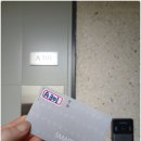 펠리스 | 강릉 숙소 가성비 좋은 펜션 사천해변 윈팰리스 오션뷰 펜션 내돈내산