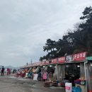 구기공원 | 부산 송도 암남공원 조개구이 맛집 갈매기 솔직후기