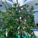 세진펜션 이미지