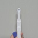 기역유통 | 임신테스트기 희미한 초기 두줄에서 진하기 역전까지(사용방법, 비교, 사용시기)