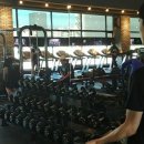 낙원 휘트니스 이미지