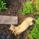 문명농장 이미지