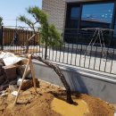 하루정원 이미지