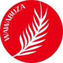 네덜란드 프로축구 명문 페예노르트 로테르담 배승균선수의 건강관리 비결 이미지