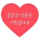 남양주 정육점 월드미트(코리아 푸줏간) – 캠핑용 고기 도매가보다 저렴한 가성비 정육점