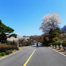은혜병원
