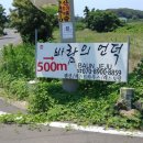 바언제주바람의언덕