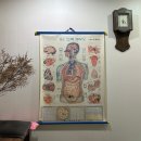 선릉마사지 추천 | 대치동통증관리 약손비기 카이로프락틱 지압 후기 (+척추교정의 중요성)