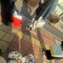 뚜레쥬르태안점 | [천안] 뚜쥬루 빵돌가마마을, 진짜는 진짜를 알아보는법