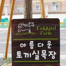 토끼실목장 이미지