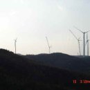 펌-리서치 이미지