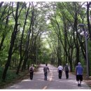 남선목장 이미지