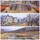 석문동천제방 Daum카페