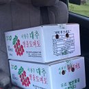 도로줌마을 이미지